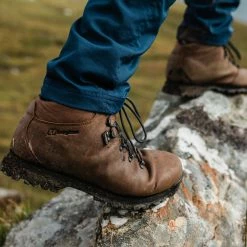 Berghaus Hillwalker Ii Gtx Tech Botte Homme, marron