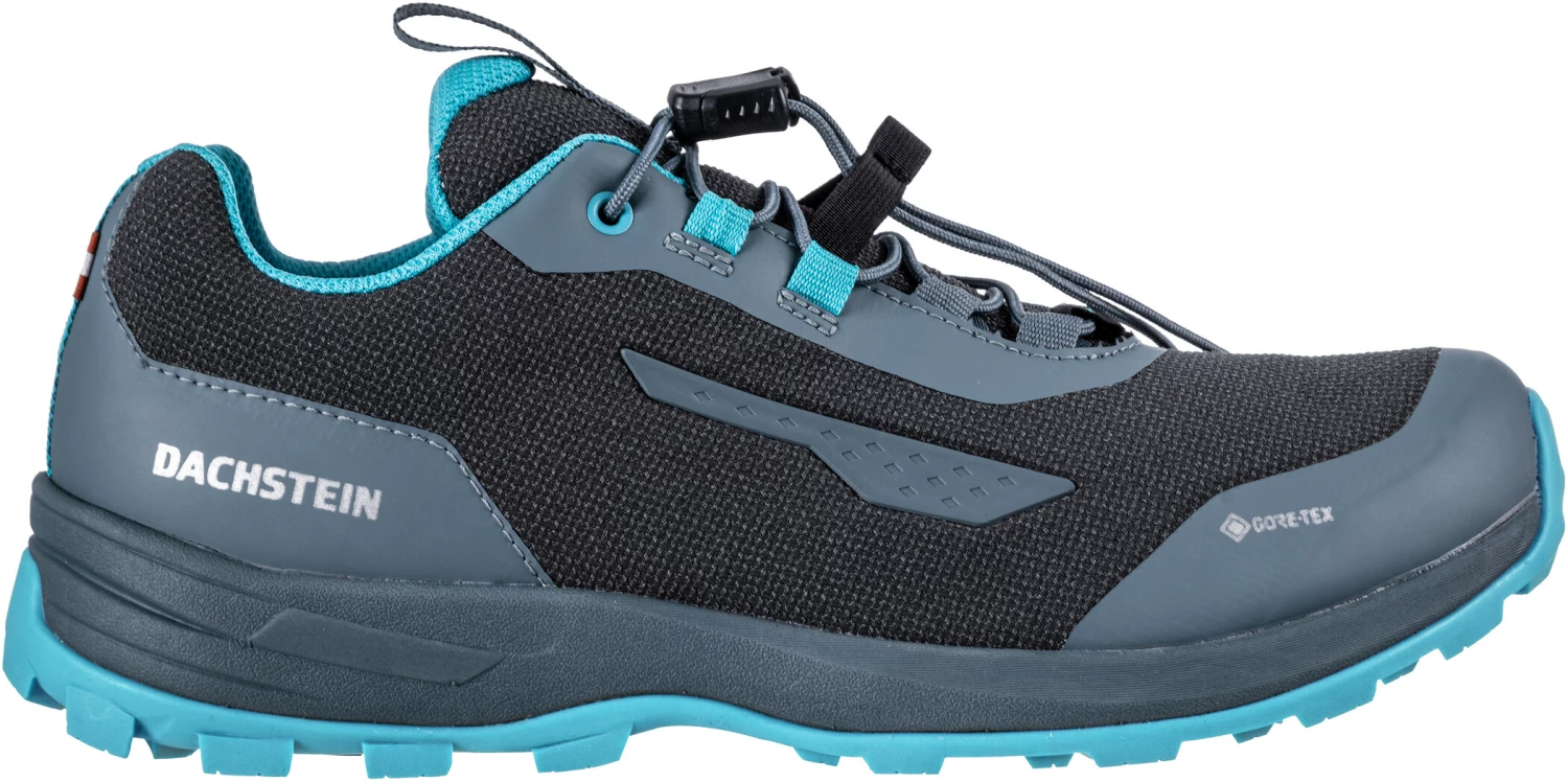 Dachstein Delta Rise 2 GTX Chaussures Femme, gris 3 Dachstein Delta Rise 2 GTX Chaussures Femme, gris