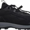 Dachstein Delta Rise 2.0 GTX Chaussures Homme, noir