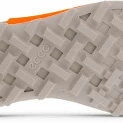 ECCO Biom 2.1 X Country Chaussures basses Homme, marron/gris -Chaussures trekking Soldes ecco biom 21 x country low cut shoes men black morel moon rock 3 1