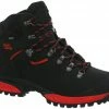 Hanwag Tatra II GTX Chaussures Homme, gris