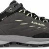 Lowa Delago GTX Chaussures basses Femme, gris